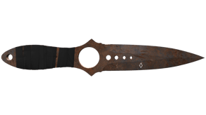 Rust Coat image