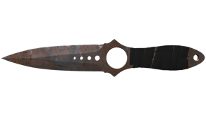 Rust Coat image