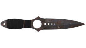 Rust Coat image