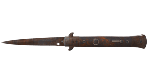 Rust Coat image