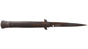 Rust Coat image
