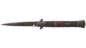 Rust Coat image