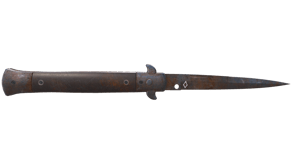 Rust Coat image