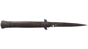 Rust Coat image