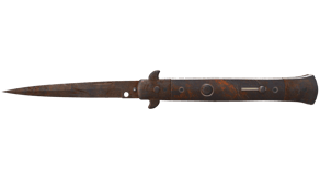 Rust Coat image