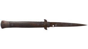 Rust Coat image