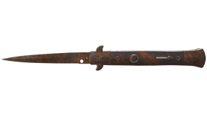 Rust Coat image
