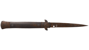 Rust Coat image