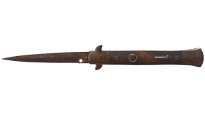 Rust Coat image