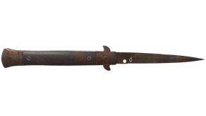 Rust Coat image