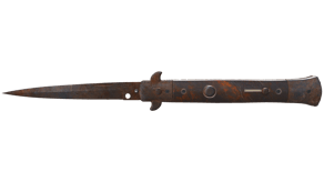 Rust Coat image