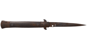 Rust Coat image
