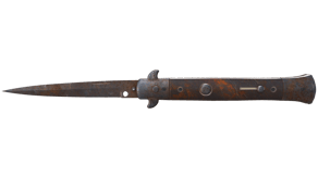 Rust Coat image