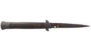 Rust Coat image