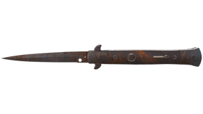 Rust Coat image