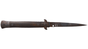 Rust Coat image