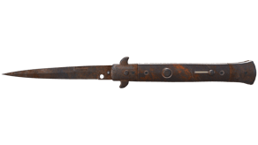 Rust Coat image