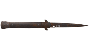 Rust Coat image