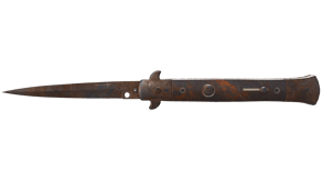 Rust Coat image