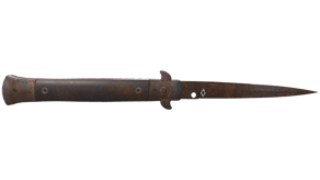 Rust Coat image