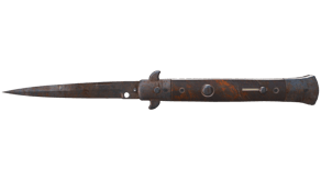 Rust Coat image