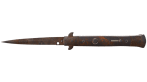 Rust Coat image