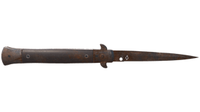 Rust Coat image