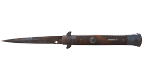 Rust Coat image
