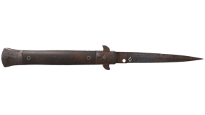 Rust Coat image