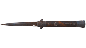 Rust Coat image