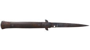 Rust Coat image