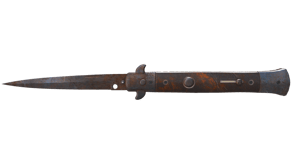 Rust Coat image