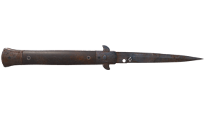 Rust Coat image