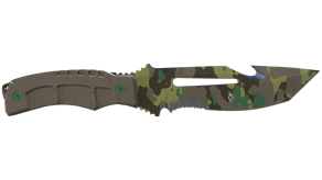 Boreal Forest image