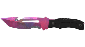 Doppler Phase 2 image