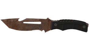Rust Coat image