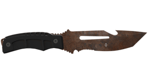 Rust Coat image