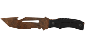 Rust Coat image