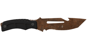 Rust Coat image
