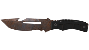 Rust Coat image