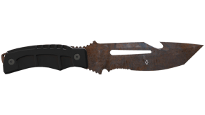 Rust Coat image