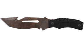 Rust Coat image