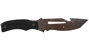 Rust Coat image
