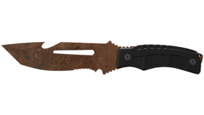 Rust Coat image