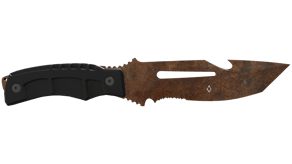 Rust Coat image