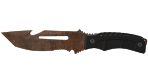 Rust Coat image