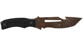 Rust Coat image