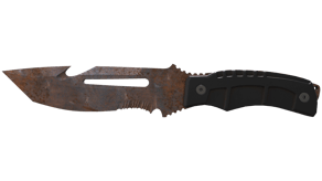 Rust Coat image