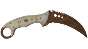Rust Coat image