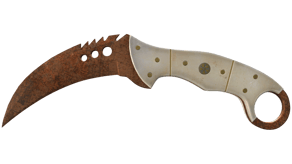 Rust Coat image